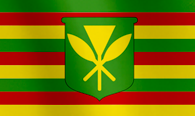 Translation & Interpretation - Hawaiian