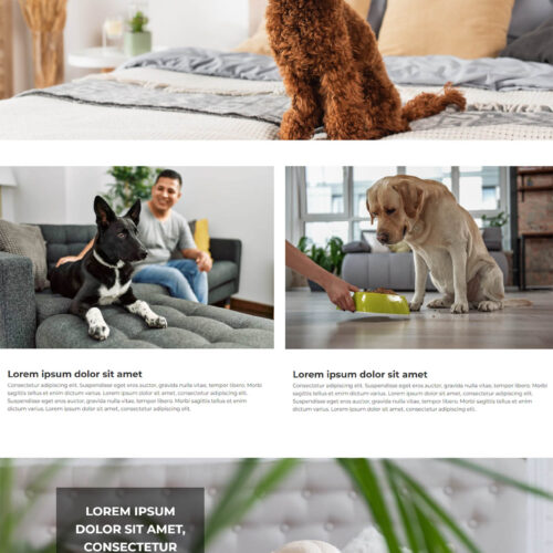 Dog Sitter Website