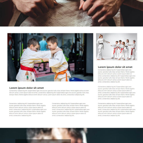 Martial Arts Studio Website