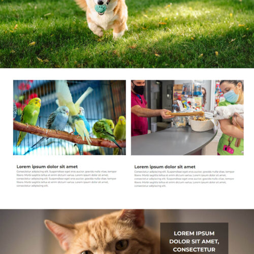 Pet Store Website